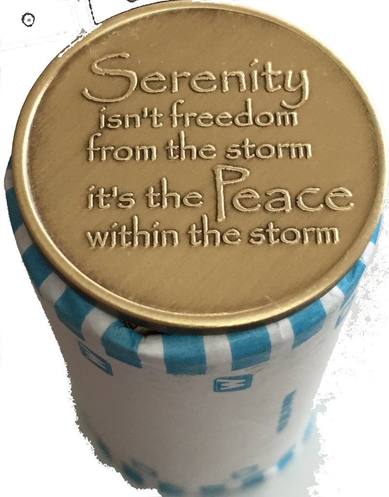 ريكافري تشيب مجموعة كبيرة من RecoveryChip مكونة من 25 شريحة من Serenity Lake Peace داخل مجموعة رقائق الميداليات البرونزية Storm للبيع بالجملة - Image 2